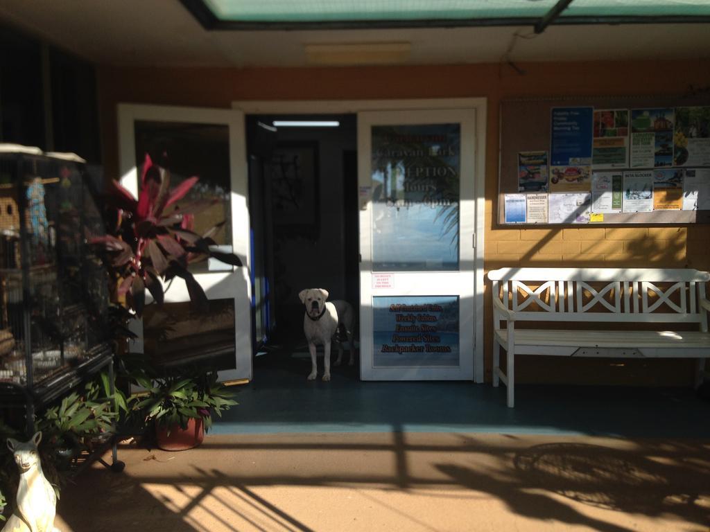 Carnarvon Caravan Park Екстериор снимка